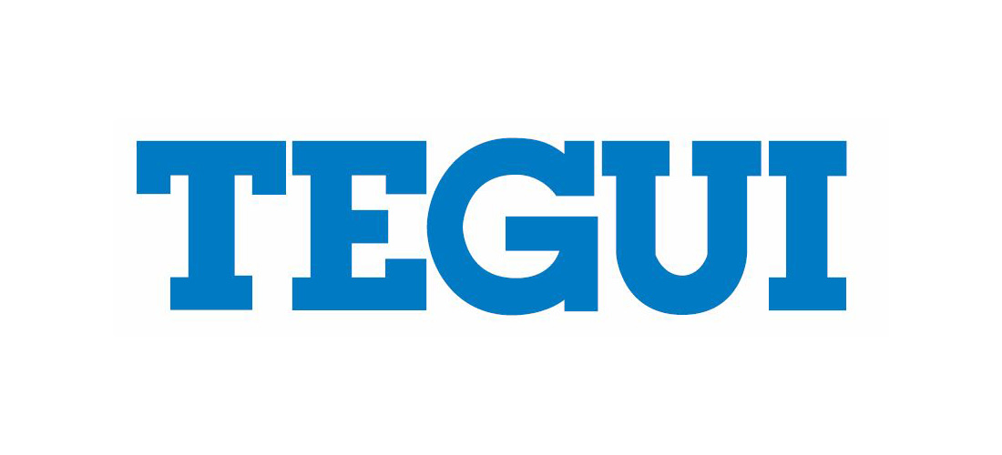 tegui logo